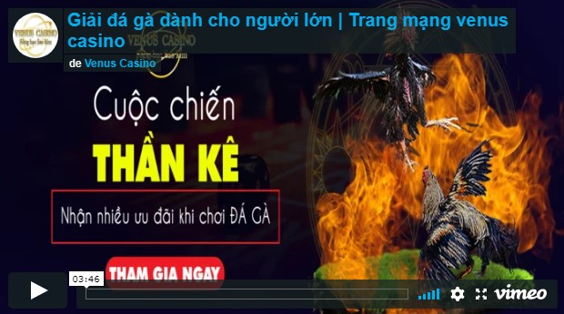 sòng bạc sao kim
